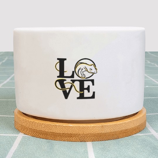 Love Crested Gecko Lizard Design Plant Pots