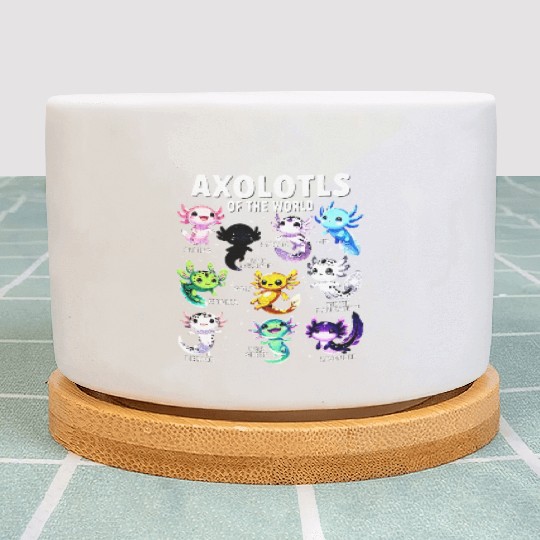 Axolotl Kawaii Axolotls of the World Axolotl Plant Pots