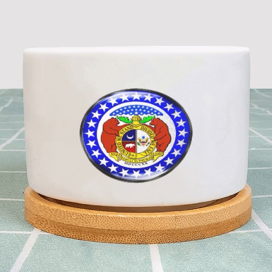 Re-Imagined Missouri State Seal in Glass Bubble Plant Pots