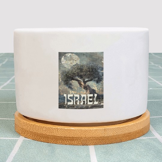 Israeli Scene with Olive Tree and the Plant Pots