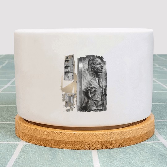 Han Solo Captured Plant Pots