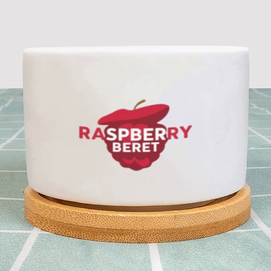 Cute Raspberry Beret Plant Pots