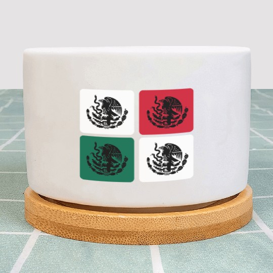 Mexican Design Plant Pots