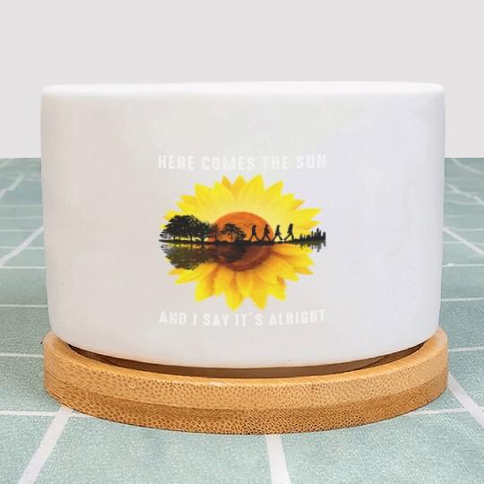 Here Comes The Sun And I Say It s Alright Guitar Plant Pots