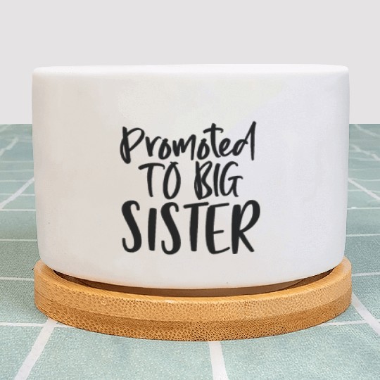 Promoted big sister - Happy big sisters, brother Plant Pots