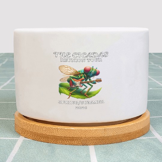 Cicadas Reunion Tour Spring Summer 2024 Plant Pots