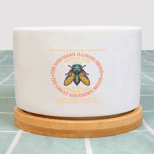 Cicada 2024 Event Brood XIX & XIII Emergence Plant Pots