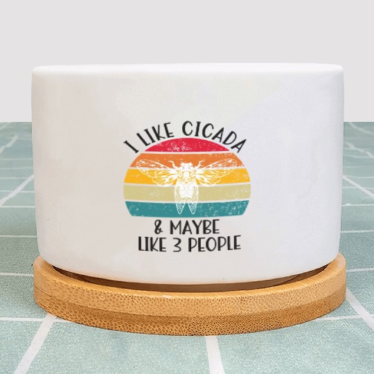 I Like Cicada & Maybe Like 3 People, Retro Sunset Plant Pots
