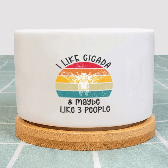 I Like Cicada & Maybe Like 3 People, Retro Sunset Plant Pots