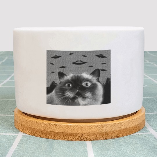 Alien UFO Himalayan Cat Lover Plant Pots