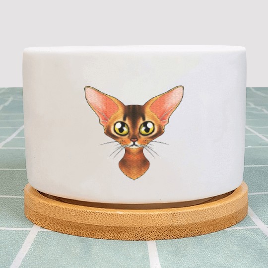 Cat Lover I Cat Face I Abyssinian Cat Plant Pots