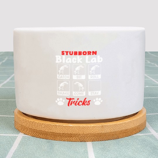 Labrador STUBBORN BLACK LAB TRICKS Labrador Plant Pots