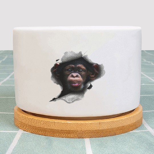 Chimp, Monkey Lover, Chimpanzee, Monkey Plant Pots