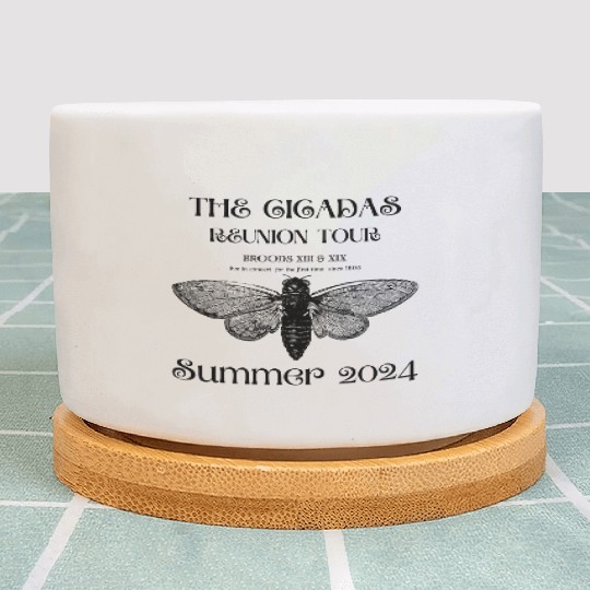 The Cicadas Reunion Summer 2024 Cicada Nature Love Plant Pots