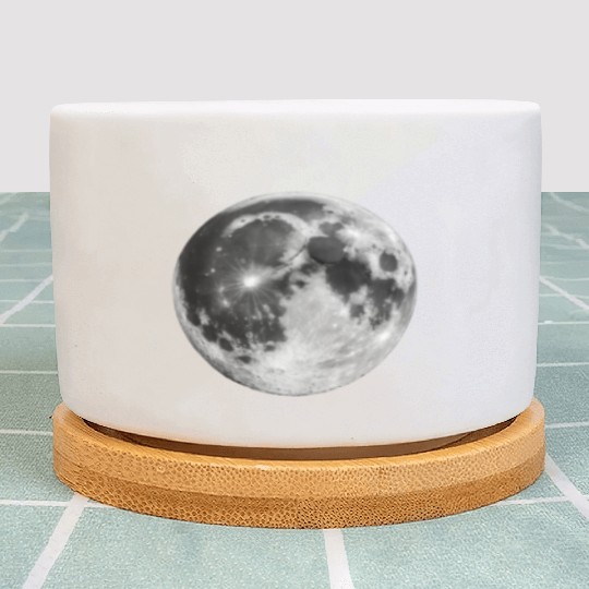 Realistic Moon Plant Pots