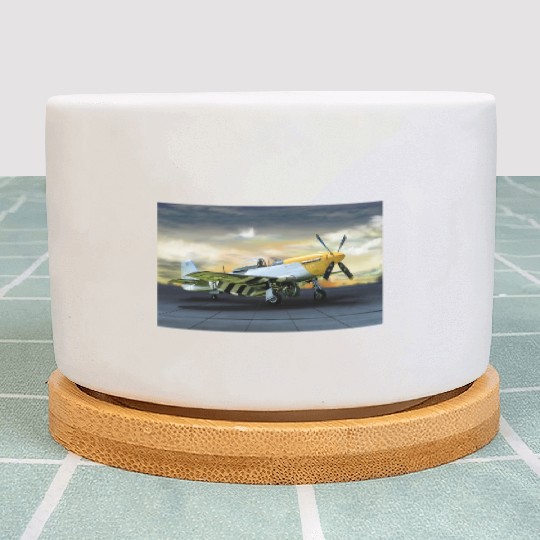 P-51 Plant Pots