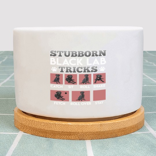 Labrador Owner STUBBORN BLACK LAB TRICKS Plant Pots