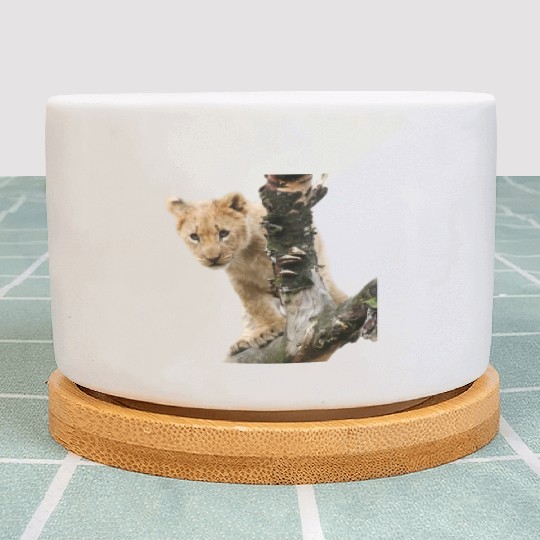 Lion King. Plant Pots