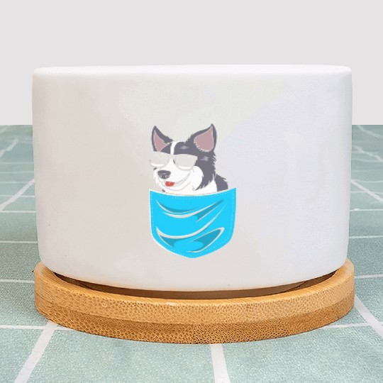 Funny Dog Border Collie Wearing Sunglasses Plant Pots