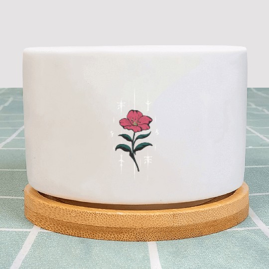 Voodoo Hibiscus Flower Plant Pots