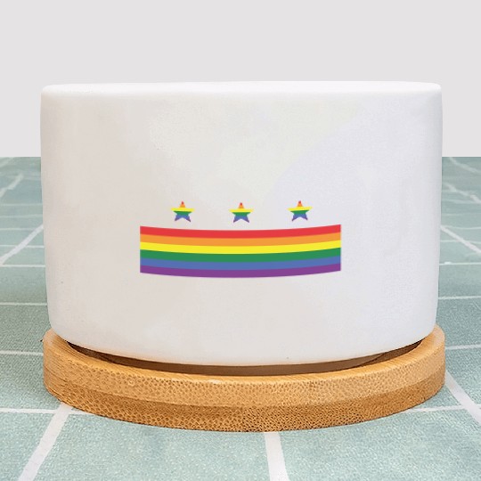 Washington DC Gay Pride Parade Rainbow Flag Plant Pots