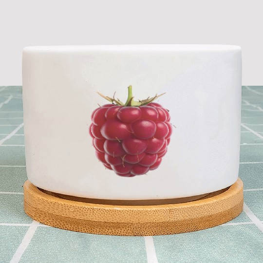 Raspberry Realistic Plant Pots