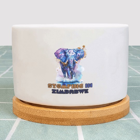 Zimbabwe Elephant Painting Plant Pots Design