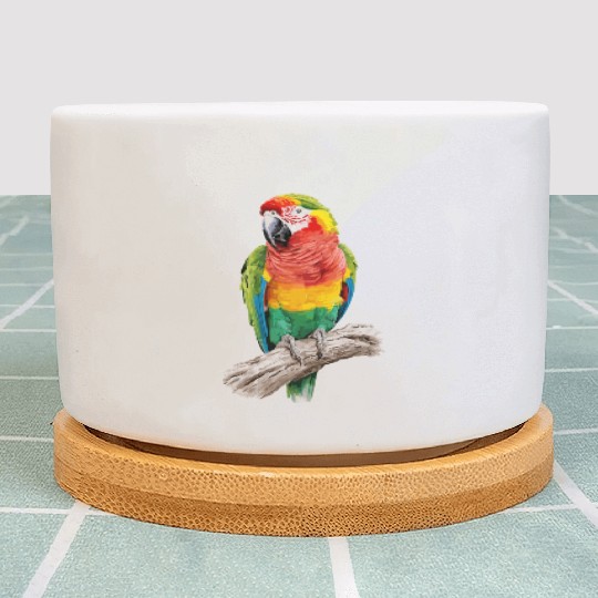 Macaw Parrot for a Bird Lover Animal Lover Plant Pots