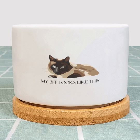 My bff looks like this (cat) Plant Pots