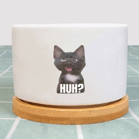 Funny Cross Eyed Cat Meme Huh Funny Cat Plant Pots