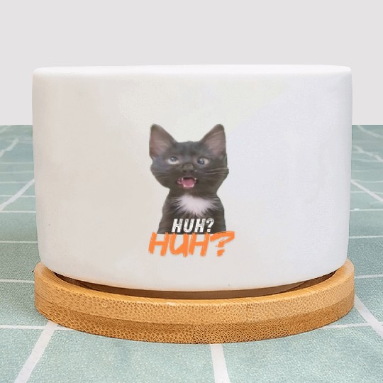 Funny Cross Eyed Cat Meme Huh Funny Cat Plant Pots