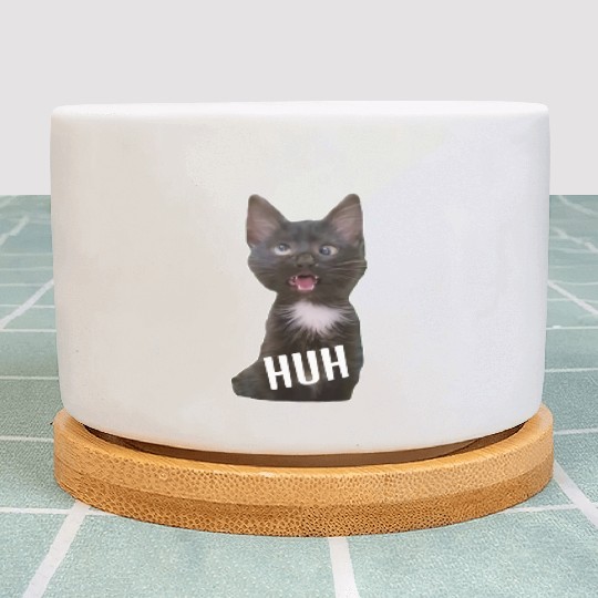 Funny Cross Eyed Cat Meme Huh Funny Cat Plant Pots