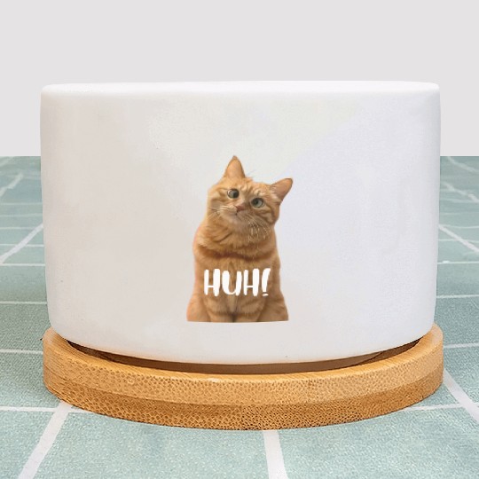 Funny Cross-Eyed Cat Meme Huh Funny Cat Plant Pots