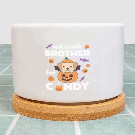 Labrador Halloween Trade Brother For Candy Plant Pots