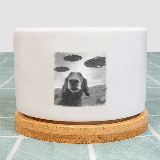 Irish Setter Dog UFO Alien Extraterrestrial Selfie Plant Pots