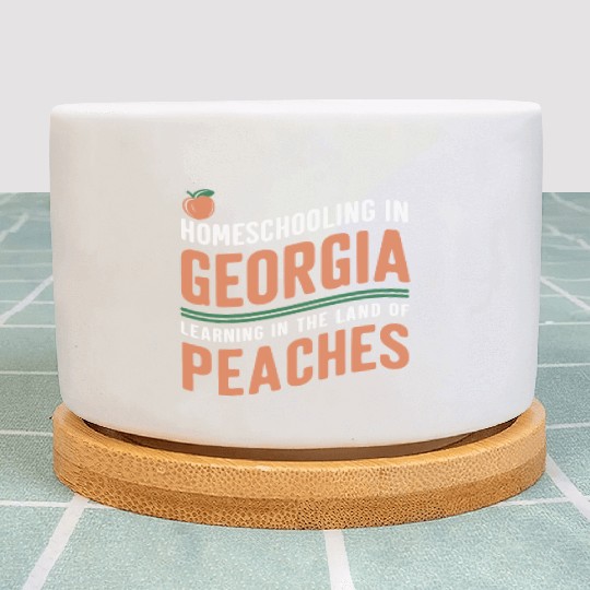 Georgia Homeschool Adventures Georgia Plant Pots