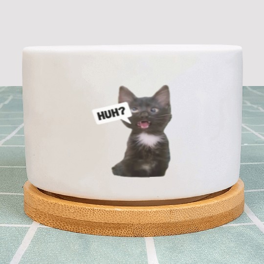 Funny Cross Eyed Cat Meme Huh Funny Cat Plant Pots