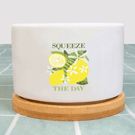 Citrus Lover Squeeze the day Plant Pots