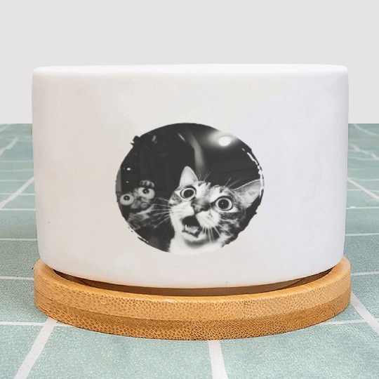 Double Surprised Cats in Vintage Black and White Plant Pots