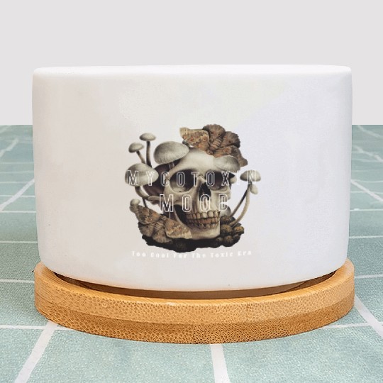 Too Cool For The Toxic Era Funny gift Plant Pots