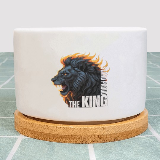 Lion king Plant Pots