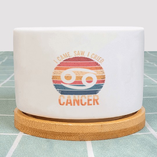 I Came, I Saw, I Cried Cancer Zodiac Sign Plant Pots