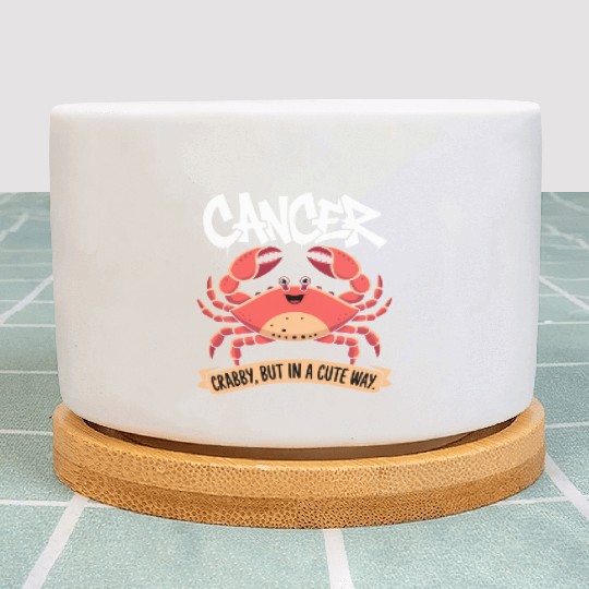 Crabby, But in a Cute Way Cancer Zodiac Sign Plant Pots