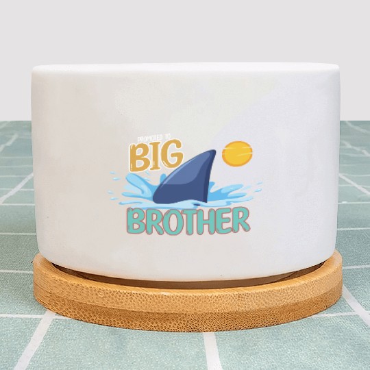 Promoted to Big Brother Shark. Plant Pots
