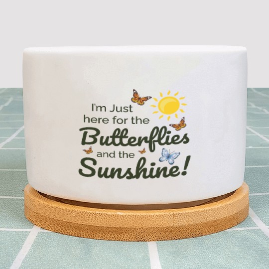 Butterfly Sunshine Insect Collector Entomology Plant Pots