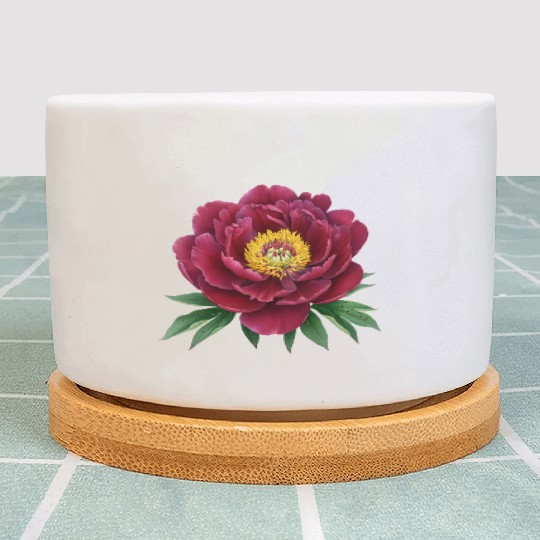 Lonely Flower Plant Pots