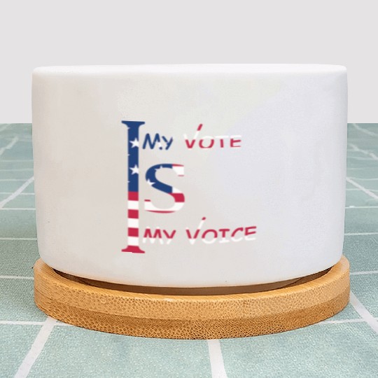 US Election vote and campaign Plant Pots