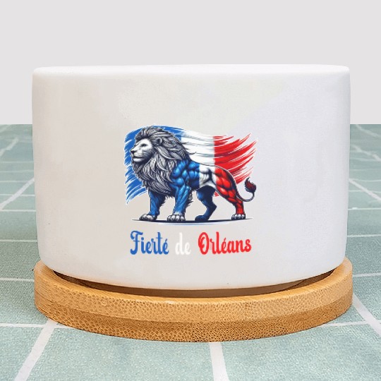 The pride of Orléans flag design Plant Pots