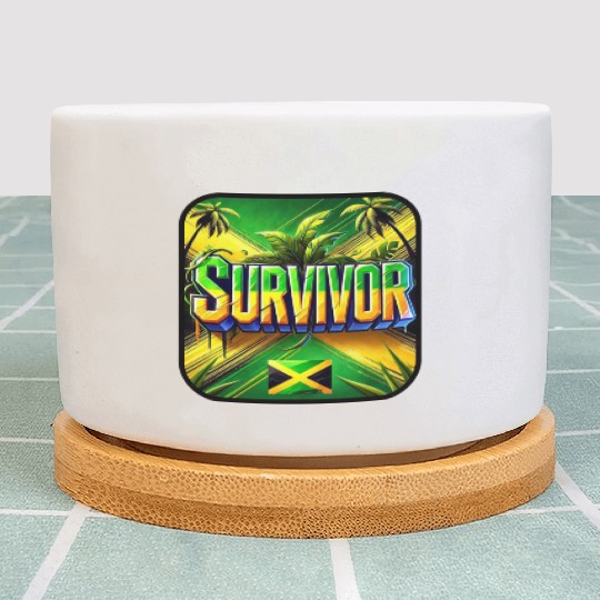 multi-color sneakers bring Plant Pots