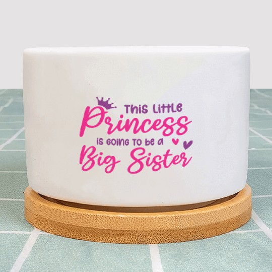 Little Princess Big Sister -Pregnancy Announcement Plant Pots